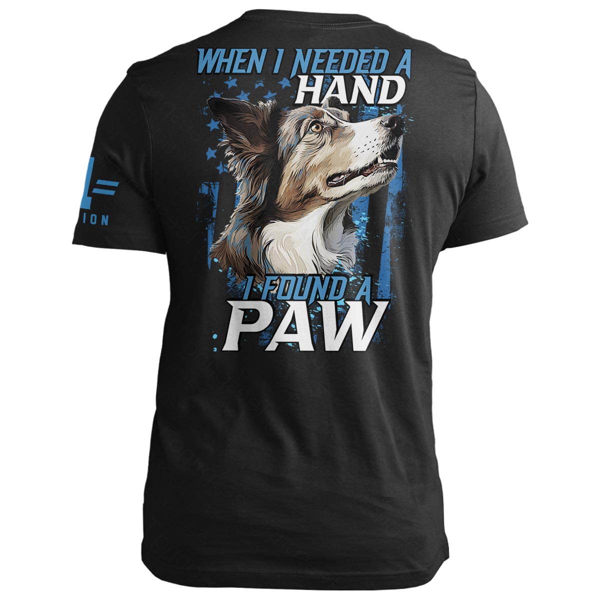 Found a Paw: Border Collie