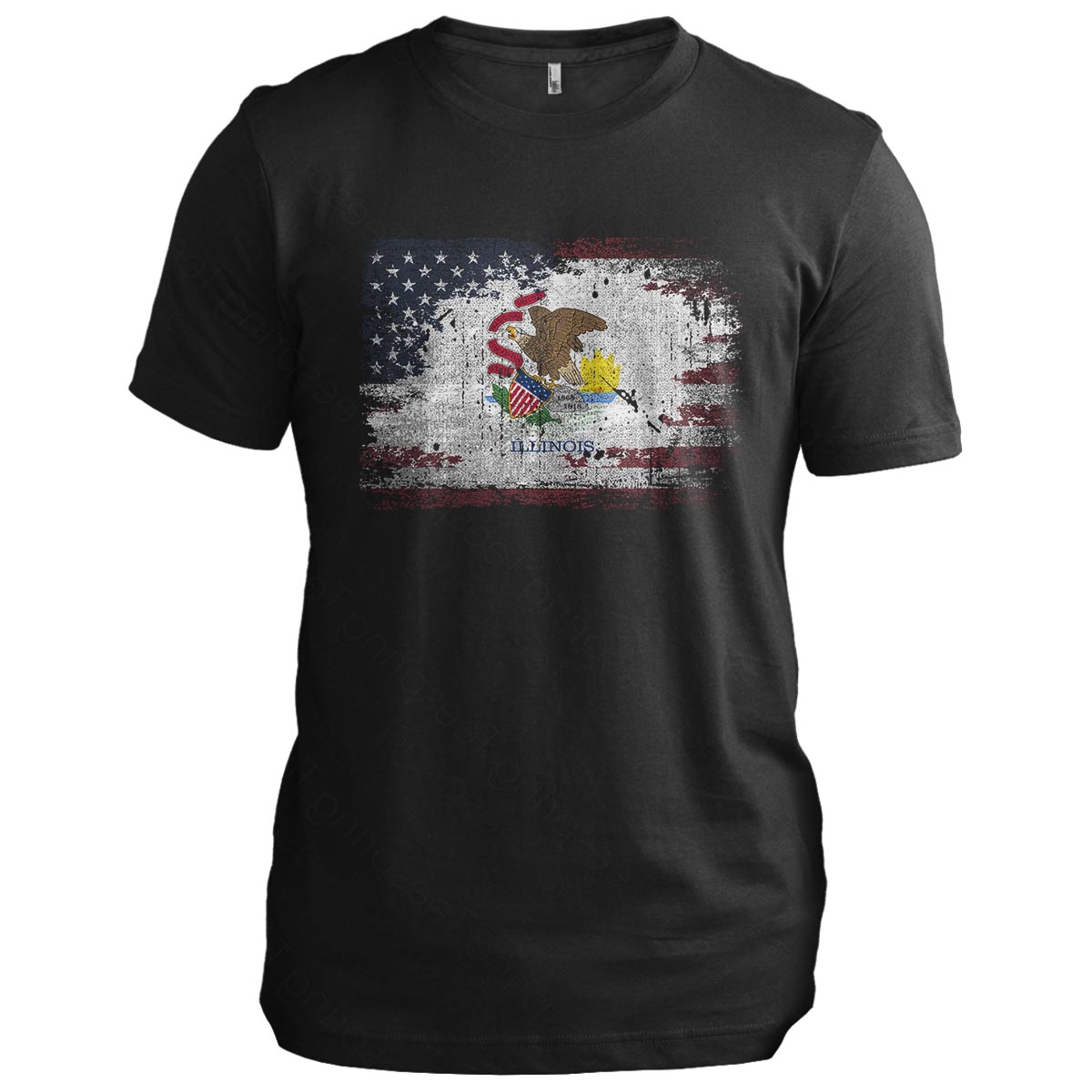 Illinois USA