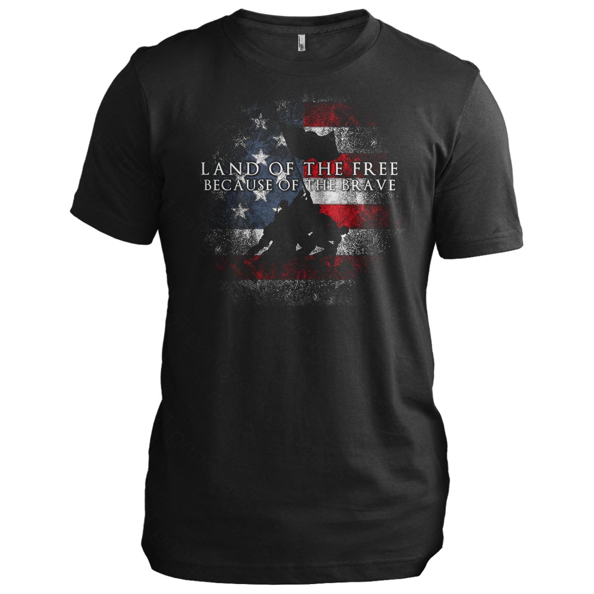 Land of the Free Because of the Brave