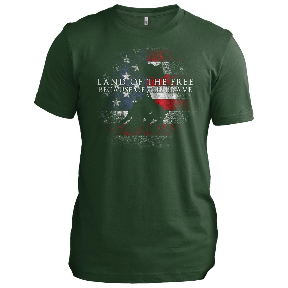 Land of the Free Because of the Brave