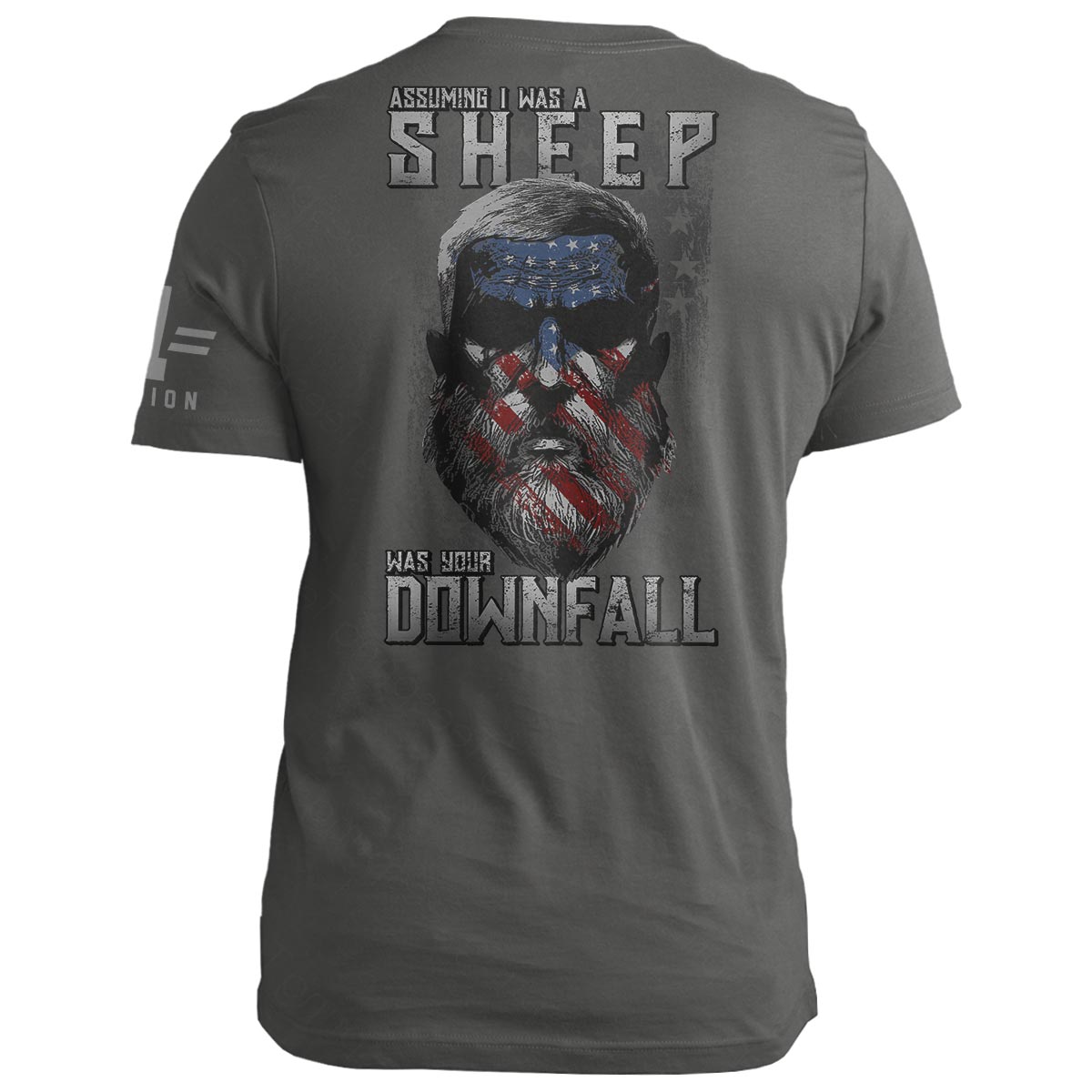Old Man Patriot: DOWNFALL