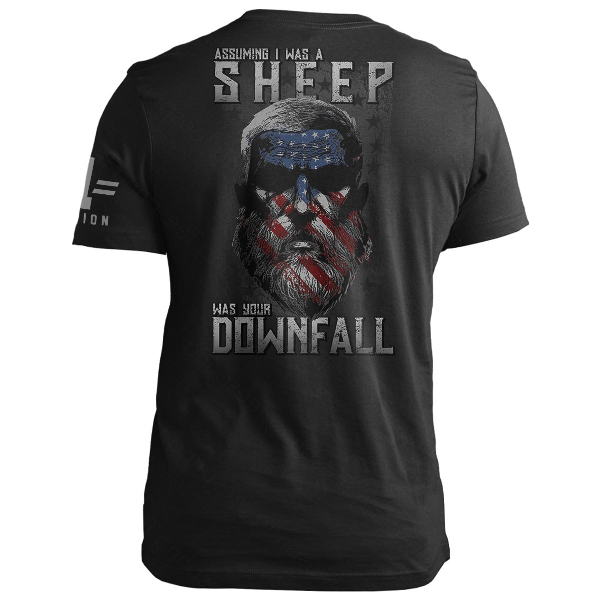 Old Man Patriot: DOWNFALL