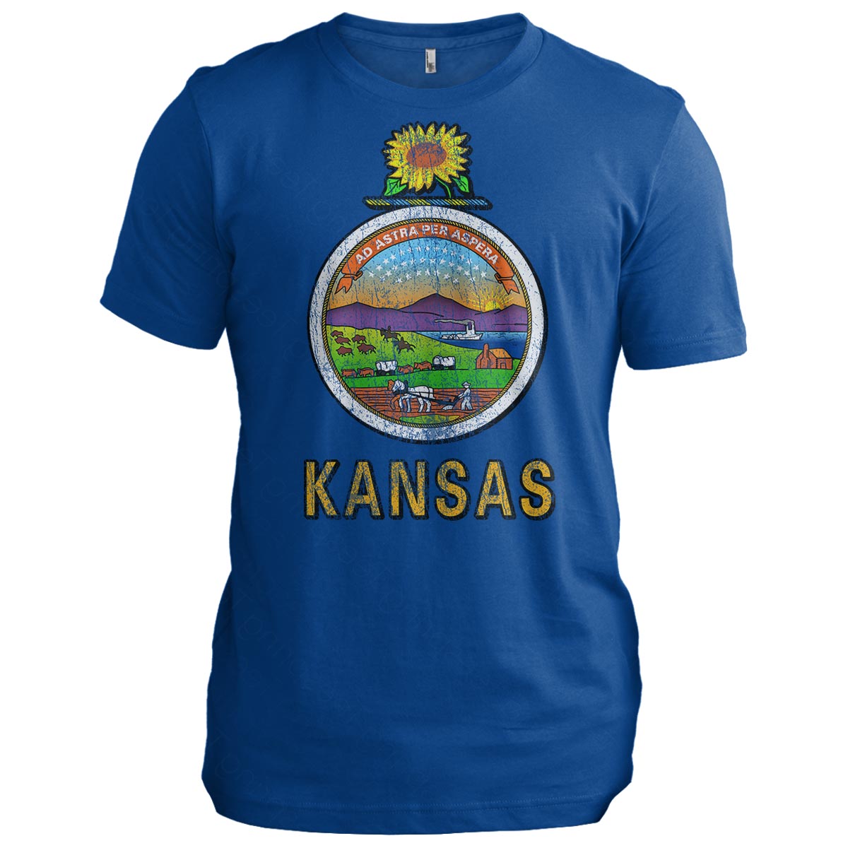 Kansas State Flag