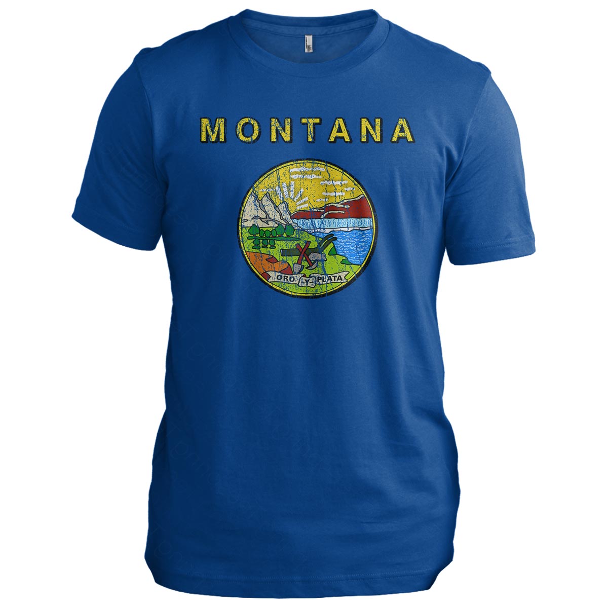 Montana State Flag