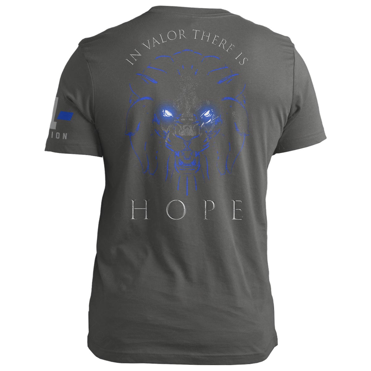 In Valor There is Hope 2.0