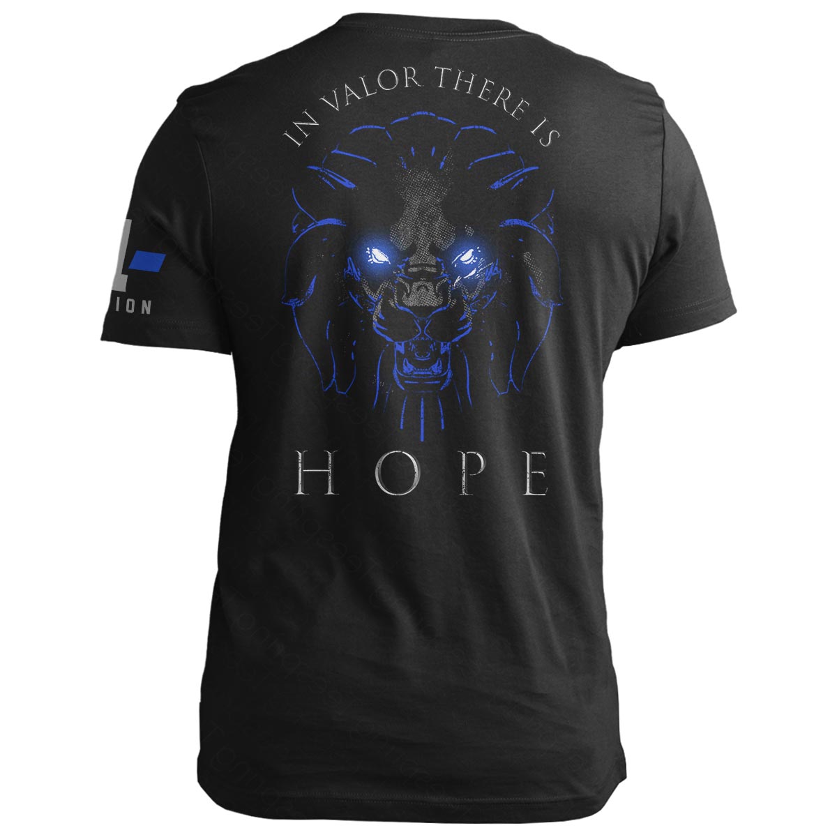 In Valor There is Hope 2.0